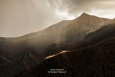 photo non trouvée : /nouveautes/article0155/vignettes/_5CP0879-Avec accentuation-Bruit.jpg photo non trouvée